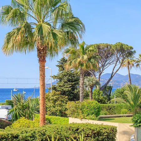 Cynthia - Piscine -