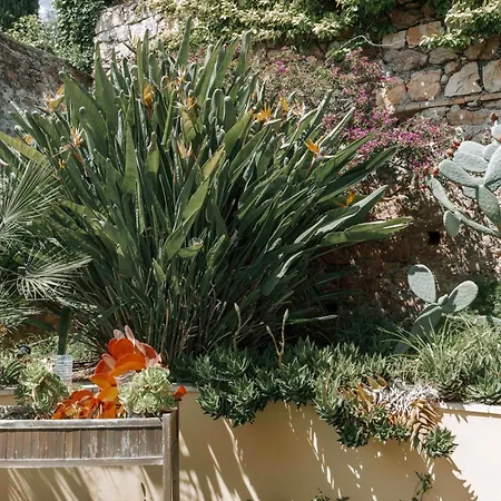 Villa Cynthia - Piscine -