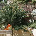 Villa Cynthia - Piscine -