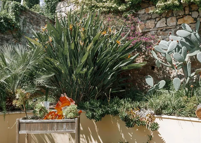 Villa Cynthia - Piscine -